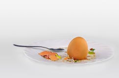 Les coquilles des oeufs et la cuillère à café d'un plat photo stock Les coquilles des oeufs et la cuillère à café d'un plat photo stock