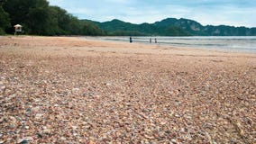 les coquilles échouent Krabi Thaïlande images stock les coquilles échouent Krabi Thaïlande images stock