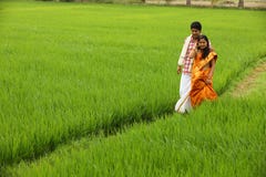 les couples asiatiques mettent en place le paddy image stock les couples asiatiques mettent en place le paddy image stock