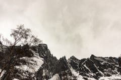 Les crêtes du mur de Troll, Trollveggen en Norvège, hiver et neige image libre de droits Les crêtes du mur de Troll, Trollveggen en Norvège, hiver et neige image libre de droits
