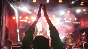 Les fans battent des mains et musique en direct de apprécier au concert illuminé par des projecteurs banque de vidéos Les fans battent des mains et musique en direct de apprécier au concert illuminé par des projecteurs banque de vidéos