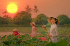 Les femmes vietnamiennes rassemblent le coucher du soleil de lotus image stock Les femmes vietnamiennes rassemblent le coucher du soleil de lotus image stock
