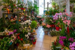 Les fleurs et les bouquets se tiennent dans un magasin de fleuriste photo stock Les fleurs et les bouquets se tiennent dans un magasin de fleuriste photo stock