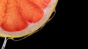 Les fruits tropicaux de citurs découpent la chute en tranches dans l'eau illustration libre de droits Les fruits tropicaux de citurs découpent la chute en tranches dans l'eau illustration libre de droits
