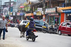 Les gens et le trafic sur la route au marché en plein air de Pokhara images libres de droits Les gens et le trafic sur la route au marché en plein air de Pokhara images libres de droits
