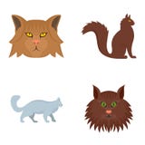 Les icônes de profil de chat de ragondin de Maine ont placé, style plat illustration stock Les icônes de profil de chat de ragondin de Maine ont placé, style plat illustration stock