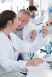 Les jeunes dans le laboratoire images stock Les jeunes dans le laboratoire images stock