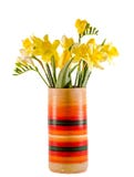 Les jonquilles et les fleurs jaunes de freesias dans un vase coloré vif, se ferment, fond d'isolement et blanc Image stock Les jonquilles et les fleurs jaunes de freesias dans un vase coloré vif, se ferment, fond d'isolement et blanc Image stock