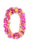 Les lettres et les nombres faits à partir des fleurs vivantes d'isolement sur le fond blanc, font le texte avec l'alphabet de fle photo libre de droits Les lettres et les nombres faits à partir des fleurs vivantes d'isolement sur le fond blanc, font le texte avec l'alphabet de fle photo libre de droits