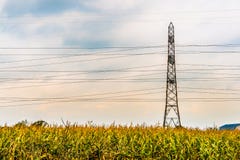 Les lignes électriques et la tour à haute tension ont placé dans un domaine de maïs de pays photo stock Les lignes électriques et la tour à haute tension ont placé dans un domaine de maïs de pays photo stock
