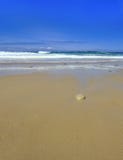 Les ondes choisissent la pierre sur la plage sablonneuse avec l'espace de copie Photos stock Les ondes choisissent la pierre sur la plage sablonneuse avec l'espace de copie Photos stock