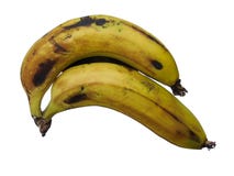 Les paires de la banane portent des fruits d'isolement tenu sur le fond blanc photo libre de droits Les paires de la banane portent des fruits d'isolement tenu sur le fond blanc photo libre de droits