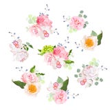 Les petits bouquets de mariage de se sont levés, pivoine, camélia, orchidée, hortensia, oeillet, baies bleues et feuilles d'eucal illustration stock Les petits bouquets de mariage de se sont levés, pivoine, camélia, orchidée, hortensia, oeillet, baies bleues et feuilles d'eucal illustration stock
