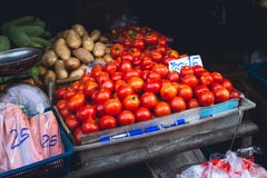 Les poissons secs se sont vendus dans la pomme de terre chiangmaiVegetable de carotte de paprika de tomate du marché de l'Asie du photographie stock Les poissons secs se sont vendus dans la pomme de terre chiangmaiVegetable de carotte de paprika de tomate du marché de l'Asie du photographie stock