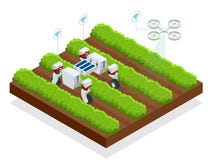 Les robots commandés automatiques isométriques moissonnent des baies Smart robotique dans l'agriculture, agriculteurs de robot d' illustration de vecteur Les robots commandés automatiques isométriques moissonnent des baies Smart robotique dans l'agriculture, agriculteurs de robot d' illustration de vecteur
