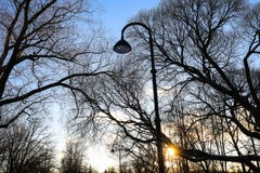 Les silhouettes des arbres et le réverbère et le soleil sans feuilles contre le ciel bleu sur le coucher du soleil dans la ville Photos libres de droits Les silhouettes des arbres et le réverbère et le soleil sans feuilles contre le ciel bleu sur le coucher du soleil dans la ville Photos libres de droits