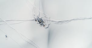 Les skieurs jetant la neige vers le haut sur une neige ont couvert la montagne 4k banque de vidéos Les skieurs jetant la neige vers le haut sur une neige ont couvert la montagne 4k banque de vidéos