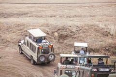 Les touristes dans des voitures de safari observent une lionne photo libre de droits Les touristes dans des voitures de safari observent une lionne photo libre de droits