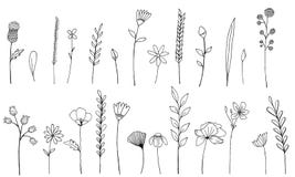 Les wildflowers d'encre ont isolé des éléments Pavot tiré par la main, bardane, blé, herbe, rose sauvage, camomille, bleuet, géra illustration stock Les wildflowers d'encre ont isolé des éléments Pavot tiré par la main, bardane, blé, herbe, rose sauvage, camomille, bleuet, géra illustration stock
