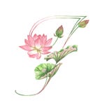 Letra F hecha de flores en el fondo blanco stock de ilustración Letra F hecha de flores en el fondo blanco stock de ilustración