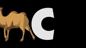 letter c and camel foreground stock video video of clip letter c video