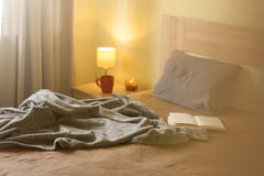 Letto comodo con il cuscino molle nell'interno della sala fotografie stock Letto comodo con il cuscino molle nell'interno della sala fotografie stock