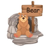 Lettre animale B d'alphabet pour l'ours illustration libre de droits Lettre animale B d'alphabet pour l'ours illustration libre de droits