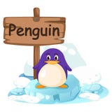 Lettre animale P d'alphabet pour le pingouin illustration de vecteur Lettre animale P d'alphabet pour le pingouin illustration de vecteur