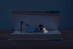 Lettura della ragazza immagine stock libera da diritti Lettura della ragazza immagine stock libera da diritti
