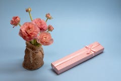 Leuk boeket van tedere roze boterbloemen en een gift op een blauwe achtergrond stock fotografie Leuk boeket van tedere roze boterbloemen en een gift op een blauwe achtergrond stock fotografie