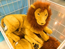 Leuk Lion Doll Leuk Lion Doll stock afbeeldingen Leuk Lion Doll Leuk Lion Doll stock afbeeldingen