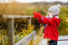 Leuk meisje die pret op mooie de herfstdag hebben Het gelukkige kind spelen in de herfstpark Jong geitje die geel dalingsgeblader royalty-vrije stock afbeelding Leuk meisje die pret op mooie de herfstdag hebben Het gelukkige kind spelen in de herfstpark Jong geitje die geel dalingsgeblader royalty-vrije stock afbeelding