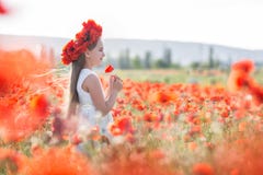 Leuk meisje op de weide van rode papavers in de lentedag stock fotografie Leuk meisje op de weide van rode papavers in de lentedag stock fotografie