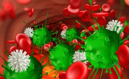 Leukocytes attack the virus in the blood. Microbes under the microscope. Disease, infection, inflammation stock illustration Leukocytes attack the virus in the blood. Microbes under the microscope. Disease, infection, inflammation stock illustration