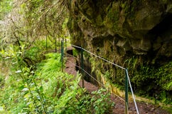 Levada da Portela, Мадейра, Португалия Стоковое Фото Levada da Portela, Мадейра, Португалия Стоковое Фото