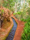 Levada, типичный канал водопотребления для орошения в Мадейре, Португалии стоковые изображения rf Levada, типичный канал водопотребления для орошения в Мадейре, Португалии стоковые изображения rf