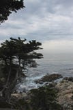 Lever de soleil sur Rocky Monterey Ca, photos stock Lever de soleil sur Rocky Monterey Ca, photos stock