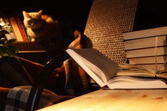 Libros y gato Foto de archivo Libros y gato Foto de archivo