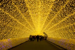 Lichte tunnel in Nabana geen verlichting van de satowinter, Japan stock afbeelding Lichte tunnel in Nabana geen verlichting van de satowinter, Japan stock afbeelding