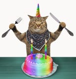 Licorne de chat avec un gâteau d'anniversaire images libres de droits Licorne de chat avec un gâteau d'anniversaire images libres de droits