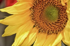 Liebe ist ganz um uns stockfoto Liebe ist ganz um uns stockfoto