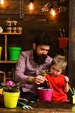 Liebesnatur des b?rtigen Mannes und des kleinen Jungen Kinder gl?ckliche G?rtner mit Fr?hlingsblumen Vater und Sohn Familientag lizenzfreie stockbilder Liebesnatur des b?rtigen Mannes und des kleinen Jungen Kinder gl?ckliche G?rtner mit Fr?hlingsblumen Vater und Sohn Familientag lizenzfreie stockbilder