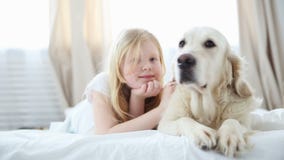 Life of domestic pets in the family. a small blonde girl lies with her dog on the bed in the bedroom. a golden retriever