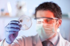 Life science researcher observing cells in petri dish. Stock Photography Life science researcher observing cells in petri dish. Stock Photography