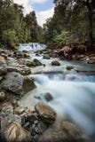 Liffey valt hogere cascade, Tasmanige, Australië stock afbeelding Liffey valt hogere cascade, Tasmanige, Australië stock afbeelding
