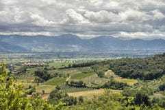 liggandemontefalco umbria Arkivfoton liggandemontefalco umbria Arkivfoton