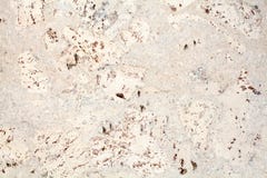 Light beige surface of the cork wood tile closeup, white and brown mottled texture background stock photography Light beige surface of the cork wood tile closeup, white and brown mottled texture background stock photography