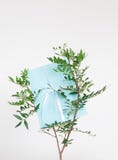 Light blue envelope with message on eucalyptus branch royalty free stock photography Light blue envelope with message on eucalyptus branch royalty free stock photography