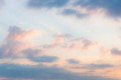 The light blue indigo in the evening. royalty free stock photo The light blue indigo in the evening. royalty free stock photo
