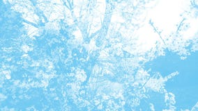 Light blue looped animation for backdrop. Springtime flowers parade over branches scrolling in background.